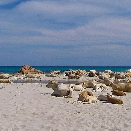 Gæstehus Bed & Blu La Caletta