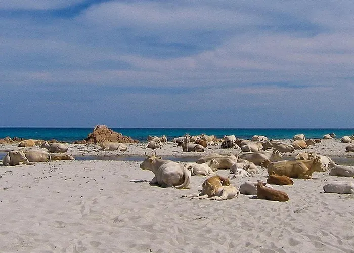 Gasthof Bed&blu La Caletta