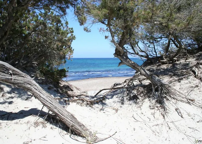 Πανσιόν Bed & Blu La Caletta